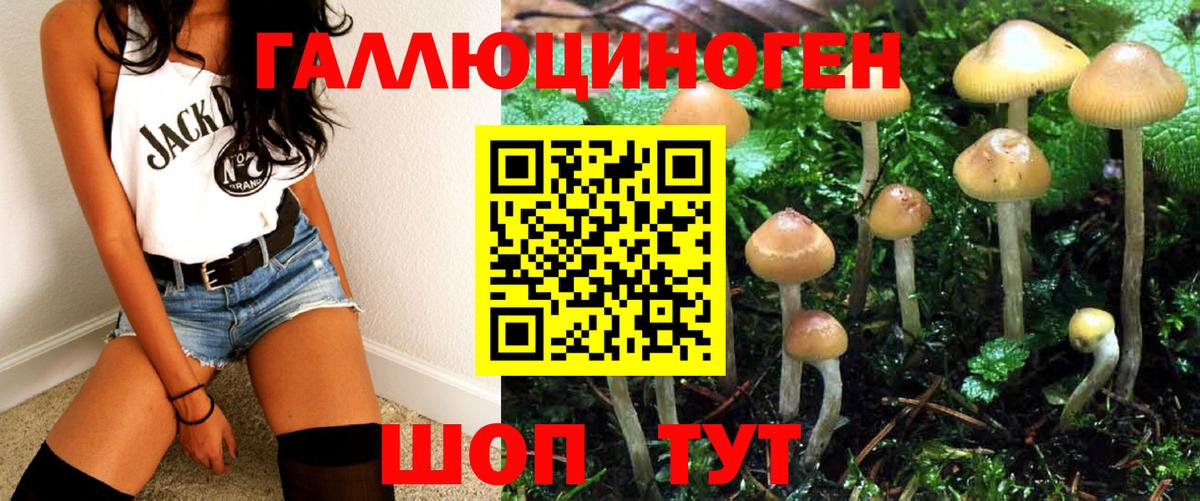 Светлоград  Псилоцибиновые грибы MAGIC MUSHROOMS  сколько стоит  Вход с VPN  Псилоцибиновые грибы GOLDEN TEACHER 