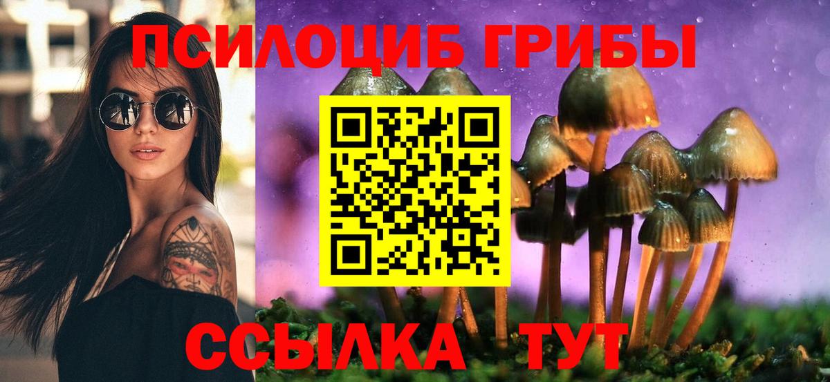 Галлюциногенные грибы Cubensis Светлоград