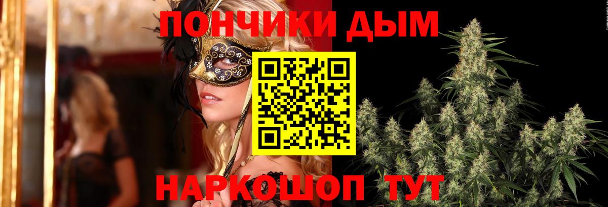 Шишки марихуана планчик Светлоград
